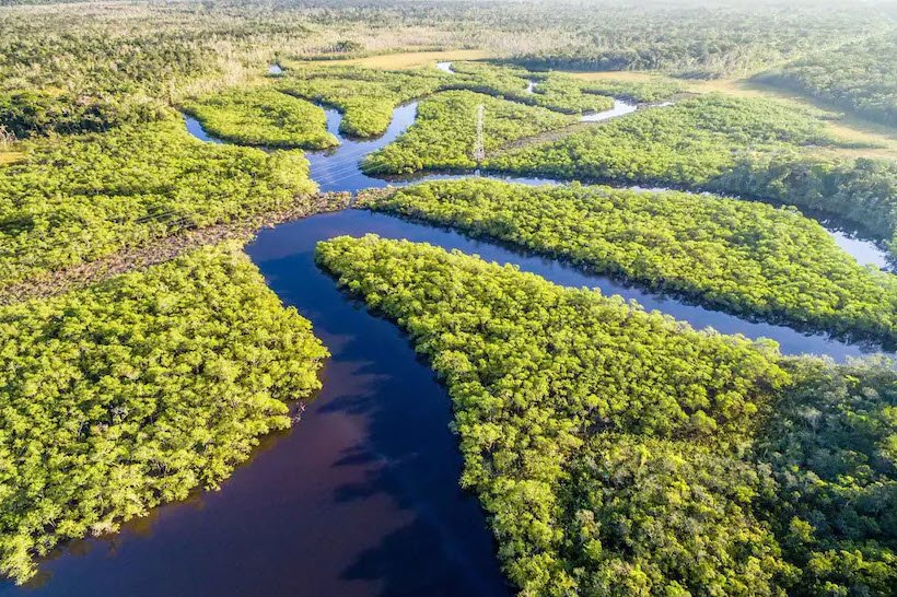 Anavilhanas National Park